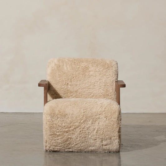 Corwin Occasional Chair (Yakety Yak)