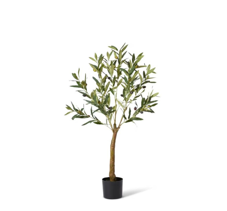 Olive Tree-122cm