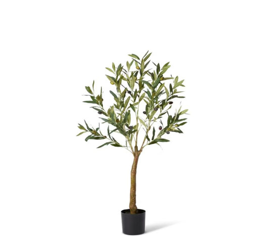 Olive Tree-91cm