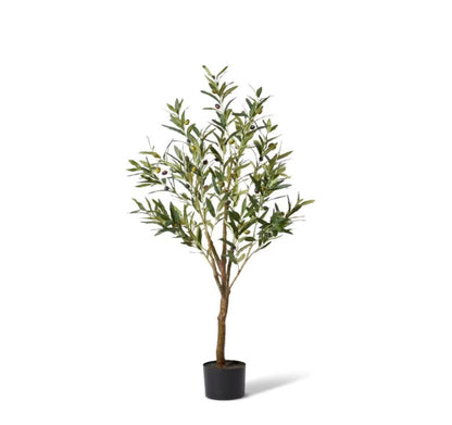 Olive Tree-122cm